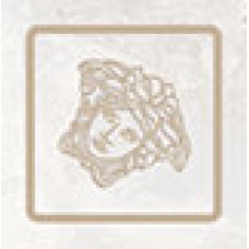 Декор (4x4) 02625800 Tozzetto Onice Bianco - Emote из коллекции Emote Emote Керамическая плитка Versace — страница 2