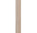 Плитка (20x120) AN2113R Aspen Natural Ret. - Place 2B з колекції Place 2B Flaviker
