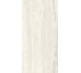 Плитка Invictus Rig White - 60x120 CSAINVWR12 Invictus з колекції Invictus Santagostino