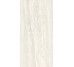 Плитка Invictus Rig White - 60x120 CSAINVWR12 Invictus з колекції Invictus Santagostino