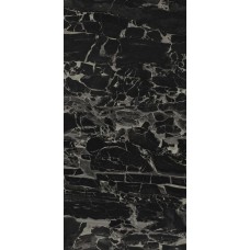 60x120 Pantherblack-Panther Black з колекції Panther Black 60x120 Pantherblack-Panther Black з колекції Panther Black
