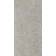 MEMENTO BRUGE GREY ANT R - 60x120 PF60012320 Memento из коллекции Memento Memento
