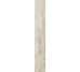 Плитка (16x99.5) PO1620RL Petrified Wood Beige Rett/Lapp - Petrified Wood з колекції Petrified Wood Ascot