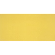 (25x50.2) IC090 Green Matt - Icon з колекції Icon Ascot (25x50.2) IC090 Green Matt - Icon з колекції Icon Ascot Icon Керамічна плитка Ascot Ceramiche