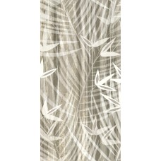 60x120 174028 Shadow Leaves Imagine з колекції Imagine Imagine Ava