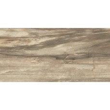 (29.4x59) 238D1P Core Beige Tiger Lappl - Petrified Tree з колекції Petrified Tree Emilceramica (29.4x59) 238D1P Core Beige Tiger Lappl - Petrified Tree з колекції Petrified Tree Emilceramica Petrified Tree Керамічна плитка Emil Ceramica — сторінка 2