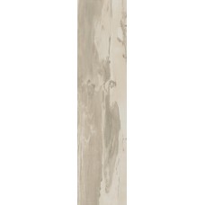 (24.3x99.5) PO2520RL Petrified Wood Beige Rett/Lapp - Petrified Wood з колекції Petrified Wood Ascot