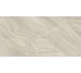 Плитка (50.5x100.8) 3017 Gris  B074 - 3017 з колекції 3017 Porcelanite Dos
