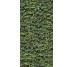 Плитка 120x240 Arborea D - Limpha - 11560323 з колекції Limpha Casalgrande Padana