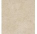 MDDS CARACTER GREIGE RT 100х100 (плитка для пола и стен)