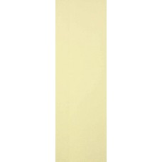 (25x75) 071013 Lime Lucido Rett - Visia з колекції Visia VISIA Керамічна плитка AVA
