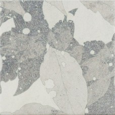 LEAF VICTORIA GREY SILVER (1 сорт) LEAF VICTORIA GREY SILVER (1 сорт)