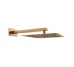 D113000000120BG Flow Верхня душова лійка 250x250 мм з кронштейном, brushed gold (1 сорт)