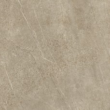 98x98 Rectificado Pulido 1822 Toffe-1822 з колекції 1822