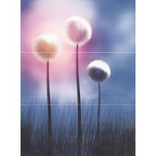 Декор (27х60) DECOR POPPY-3 (комплект з 3шт) з колекції Axel Декор (27х60) DECOR POPPY-3 (комплект з 3шт) з колекції Axel Axel Керамічна плитка Novogres