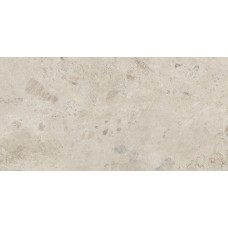 60*120 Stratos Breccia Mud Matt