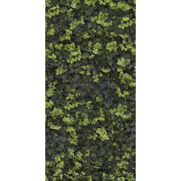 Плитка 120x240 Helix Bself - Чистка - Limpha - 11562322 з колекції Limpha Casalgrande Padana