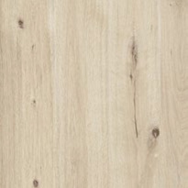 Плитка 60*60 Woodtale Xt20 Betulla Rett R4Xf Ragno