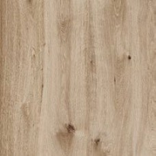 60x60 Woodtale Xt20 Nocciola Rett R4Xh из коллекции Xt20