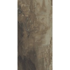 (30x60) PO360 Petrified Wood Brown - Petrified Wood з колекції Petrified Wood Ascot (30x60) PO360 Petrified Wood Brown - Petrified Wood з колекції Petrified Wood Ascot