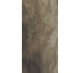 Плитка (30x60) PO360 Petrified Wood Brown - Petrified Wood з колекції Petrified Wood Ascot