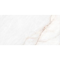 DAHLIA WHITE NT/60X120X0,9/C/R (1 сорт) DAHLIA WHITE NT/60X120X0,9/C/R (1 сорт)