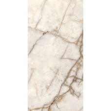 GEMSTONE IMP CRYST LUX R - 60x120 PF60011787 Gemstone из коллекции Gemstone GEMSTONE IMP CRYST LUX R - 60x120 PF60011787 Gemstone из коллекции Gemstone Gemstone Керамическая плитка Versace
