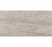 Плитка (30x60) 0VM363R Valmalenco Grigio R - Pietra Valmalenco з колекції Pietra Valmalenco COEM