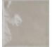 Плитка 12.4x12.4 FLU12NO Fluid Nocciola Tonalite Fluid з колекції Fluid Tonalite