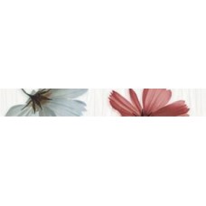 Cenefa Ocean Flor Blanco Бордюр (5х32.5) Cenefa Ocean Flor Blanco Бордюр (5х32.5) Ocean Керамічна плитка Fanal