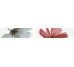 Бордюр (5х32.5) CENEFA OCEAN FLOR BLANCO из коллекции Ocean Fanal