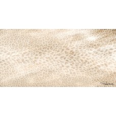 Декор (60x120) 0530325 0530325. Lapp. Компания - Giaguaro Mask из коллекции Giaguaro Mask Giaguaro Mask Керамическая плитка Roberto Cavalli