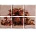 Декор (20x30) 01E6930 Pann. Antichi Sapori Rosa S/6 - Ciottoli з колекції Ciottoli Elios