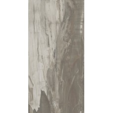 (49.6x99.5) PO190R Petrified Wood Musk Rettificato - Petrified Wood з колекції Petrified Wood Ascot