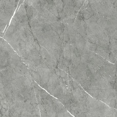 Columbia Gris Mate Satinado Rect - 100x100  Columbia з колекції Columbia Columbia