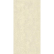 60x120 Omni Ice Matt Ret-Omni-312BD383U1 з колекції Omni Omni Керамічна плитка Revigres
