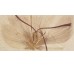 Декор (25х50) DECOR STUDIO SAND FLOR з колекції Studio Fanal