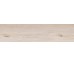 Плитка X 20 BISCUIT 20 R 11 RSP 2 - 30x120 PF60011820 Four Seasons з колекції Four Seasons Flaviker