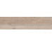Плитка X 20 BISCUIT 20 R 11 RSP 2 - 30x120 PF60011820 Four Seasons з колекції Four Seasons Flaviker