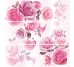 Декор (25x75) DECOR COMPOSICION BERGEN ROSES-3 (набір 3 шт.) з колекції Bergen Mallol