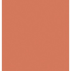 (60x60) Orange Polished - Colors з колекції Colors Todagres ceramica плитка