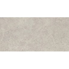 Landscape Cenere Silktech Rt - 60x120 EJRG Landscape з колекції Landscape Landscape Керамічна плитка Emil Ceramica