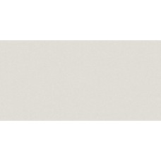 MONOLIGHT EXTERIOR WHITE R10 RECT. 59,7х119,7 (універсальна) 9.5 мм MONOLIGHT EXTERIOR WHITE R10 RECT. 59,7х119,7 (універсальна) 9.5 мм
