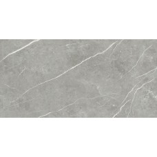 60X120 Elite Gray Matt Rec з колекції Elite