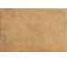 Плитка Giallo Umbria R 11 - 40x60.8 1081517 Cotto del Campiano з колекції Cotto del Campiano Cir
