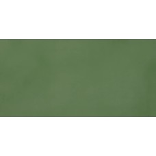 45x90 11040034 R-Evolution Green R-Evolution з колекції R-Evolution R-Evolution Керамічна плитка Casalgrande Padana