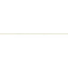 Esn.Bronze Stick Бордюр (0.5x100) D960 Essences Керамічна плитка Marca Corona — сторінка 3