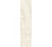 Плитка Invictus Ivory - 7.3x29.6 CSAINIV730 Invictus з колекції Invictus Santagostino