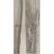 (29.4x59) 238D8P GREY PHANTER LAPP RETT из коллекции Petrified Tree Emilceramica (29.4x59) 238D8P GREY PHANTER LAPP RETT из коллекции Petrified Tree Emilceramica