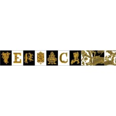 Декор 14,5x19,4 Scr. Ner/Bi/Or - Alphabet - 489030 з колекції Alphabet Alphabet Керамічна плитка Versace — сторінка 2
